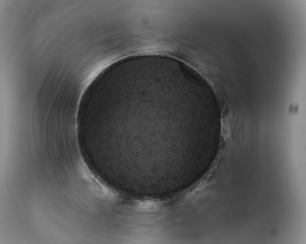 X0000111360196200907241230