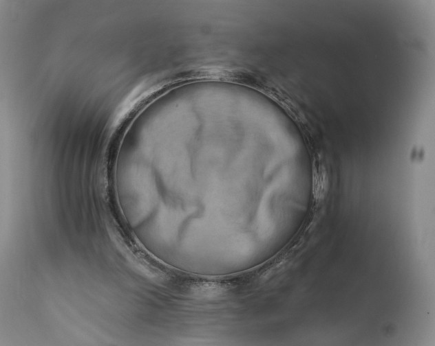 X0000111360198200907241230