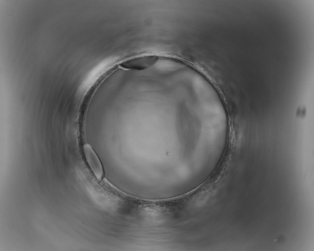 X0000111360199200907241230