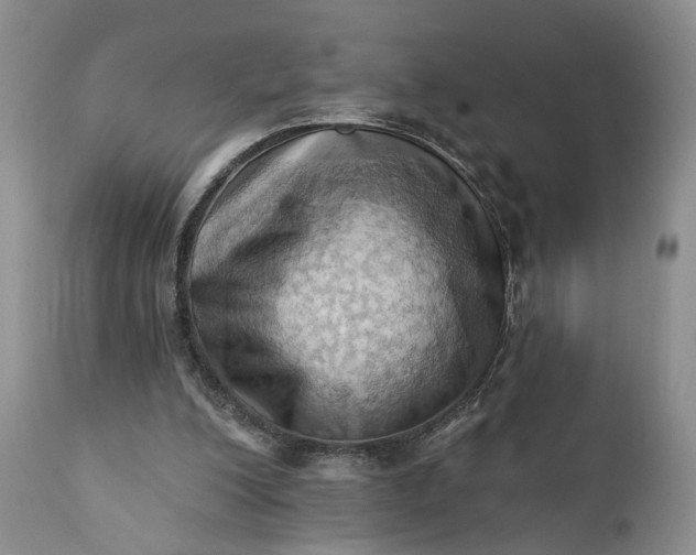 X0000111360200200907241230