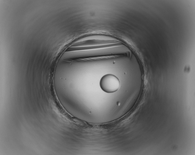 X0000111360201200907241230