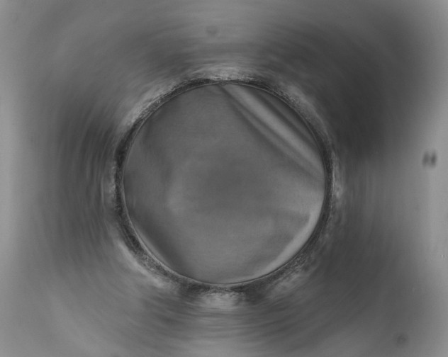 X0000111360202200907241230