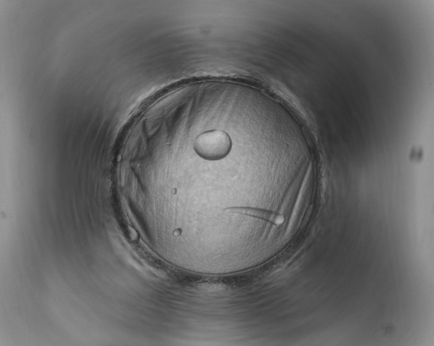 X0000111360203200907241230