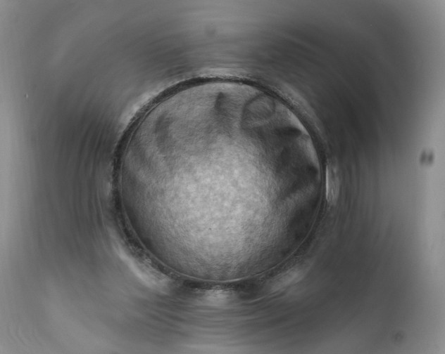 X0000111360204200907241230
