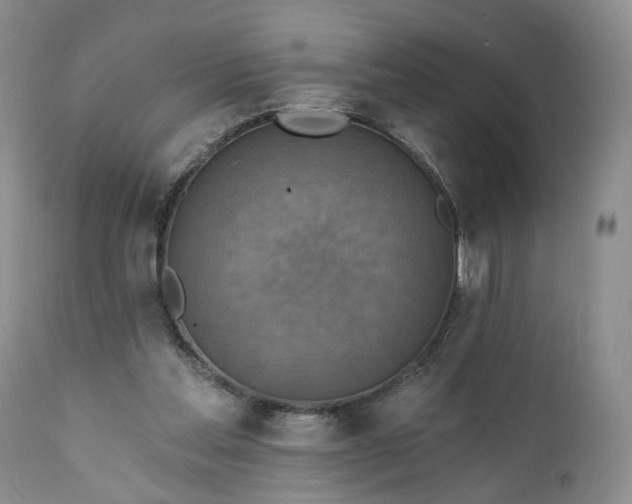 X0000111360205200907241230
