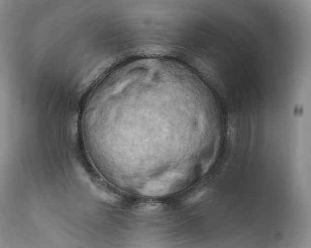 X0000111360206200907241230