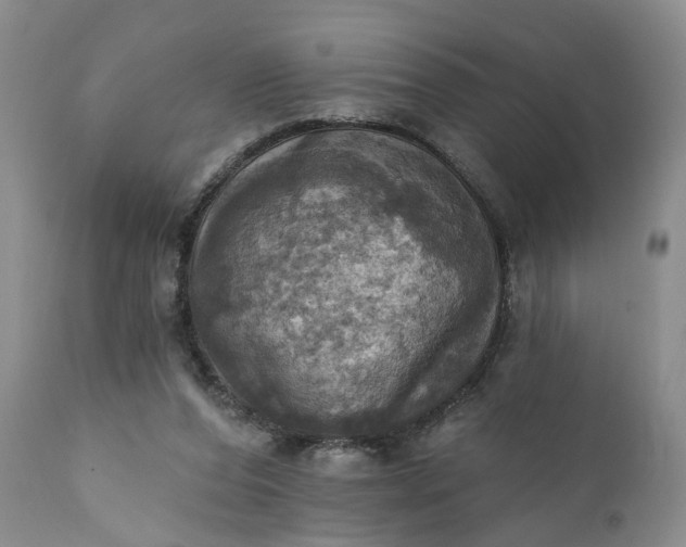 X0000111360208200907241230