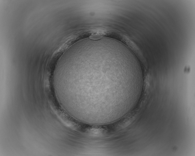X0000111360209200907241230