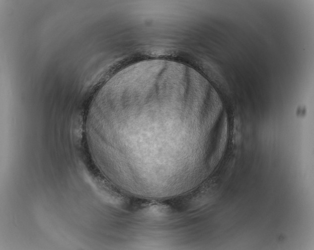 X0000111360210200907241230