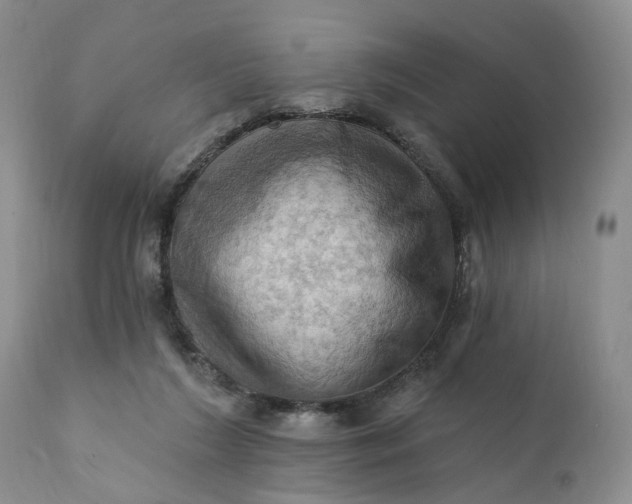 X0000111360212200907241230