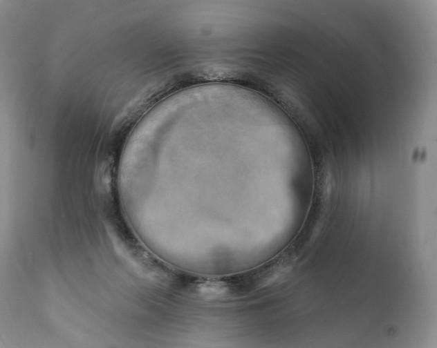 X0000111360214200907241230