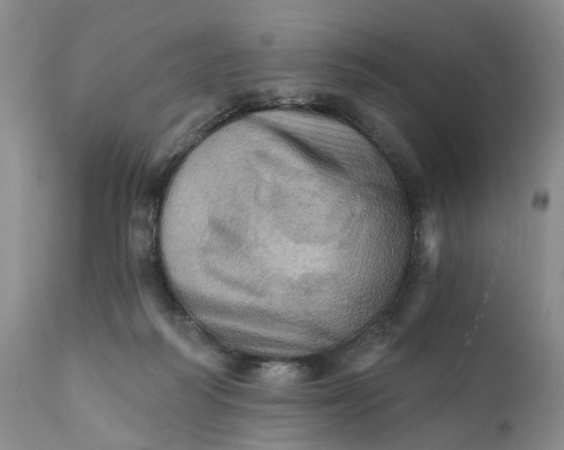 X0000111360218200907241230