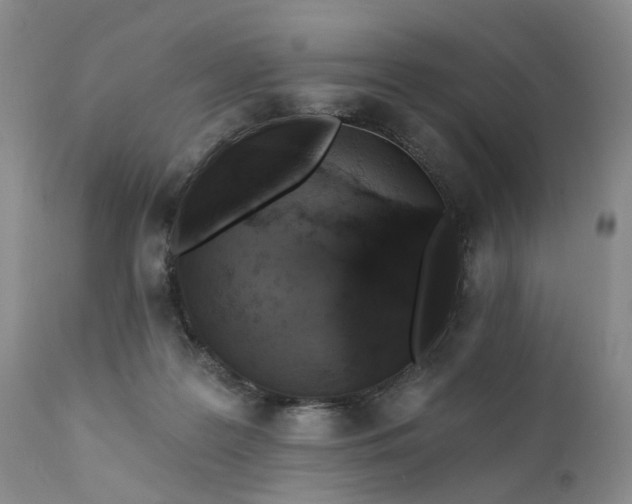 X0000111360219200907241230