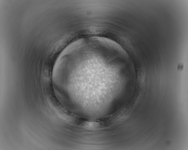 X0000111360220200907241230