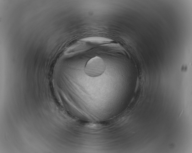 X0000111360221200907241230