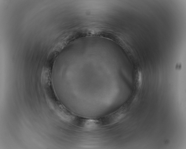 X0000111360222200907241230