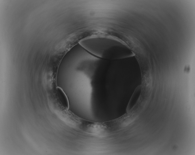 X0000111360223200907241230