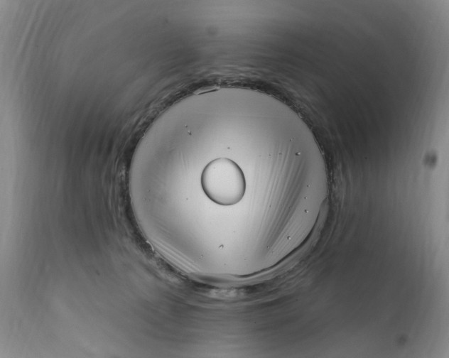 X0000111360225200907241229