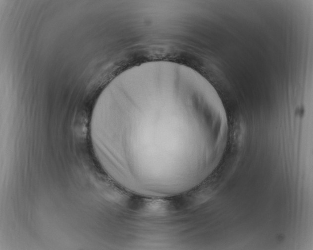 X0000111360226200907241229