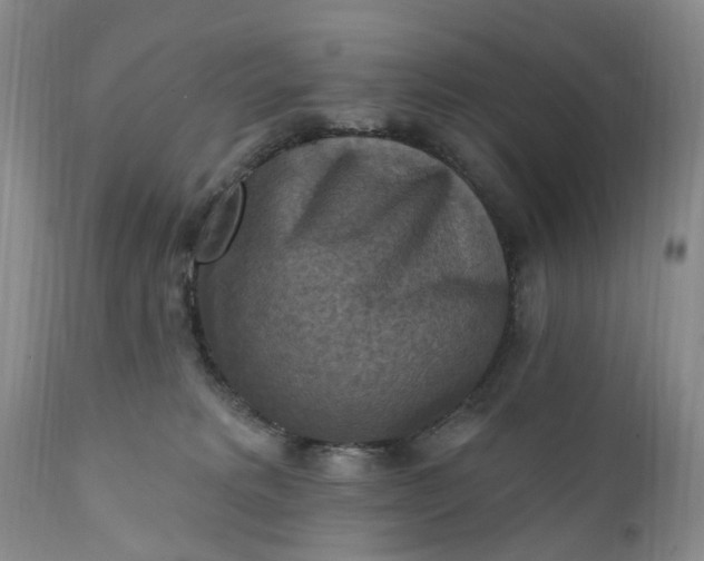 X0000111360229200907241229