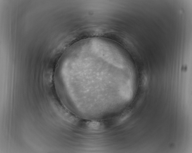 X0000111360230200907241229