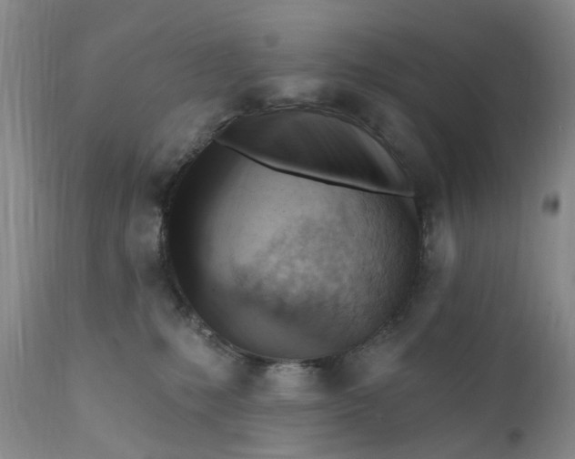 X0000111360231200907241229