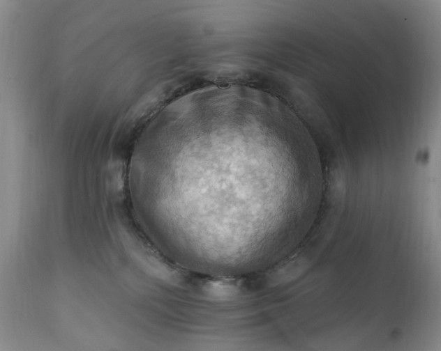 X0000111360232200907241229