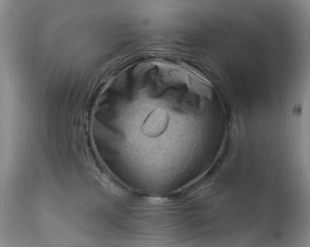 X0000111360233200907241229