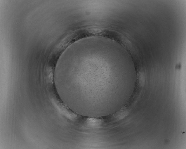 X0000111360234200907241229