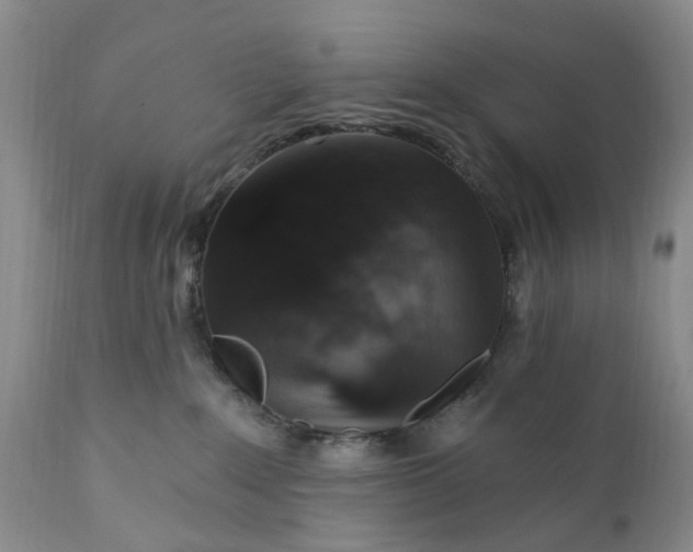 X0000111360235200907241229
