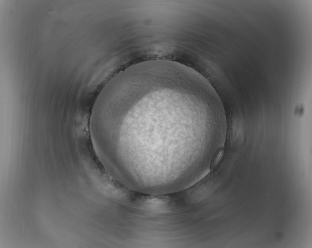X0000111360236200907241229