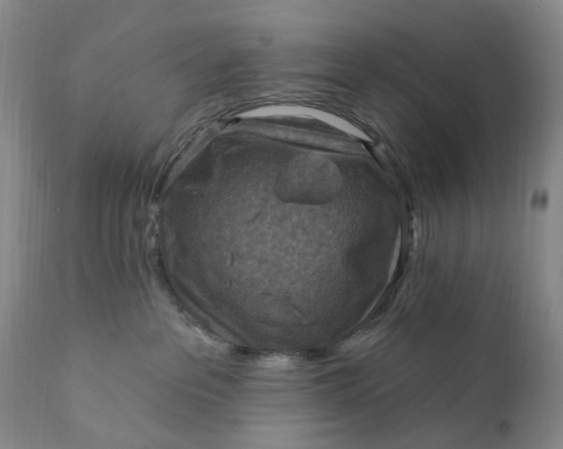 X0000111360237200907241229