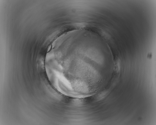 X0000111360238200907241229