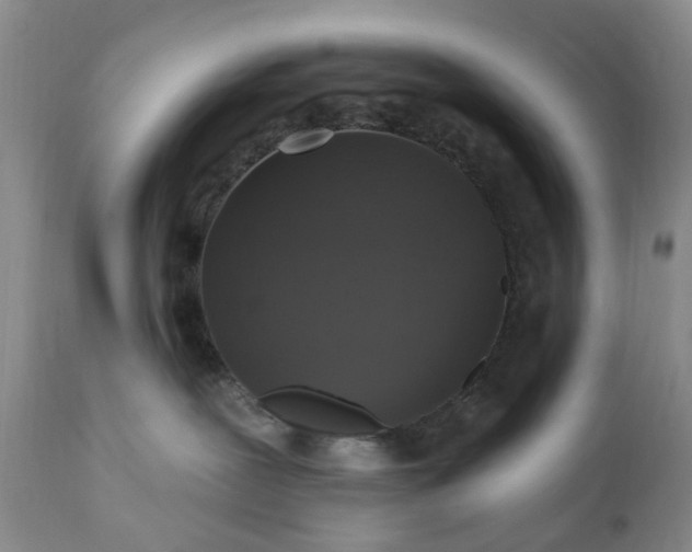 X0000111360239200907241229