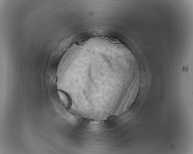 X0000111360240200907241229