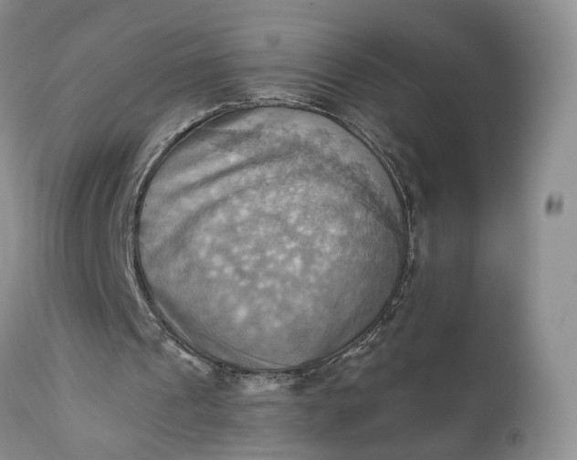 X0000111360241200907241228