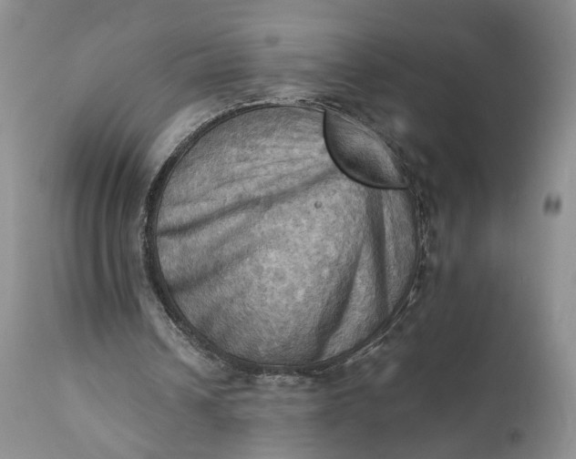 X0000111360242200907241228