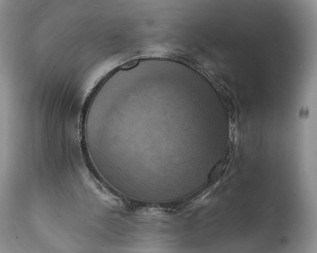 X0000111360244200907241228