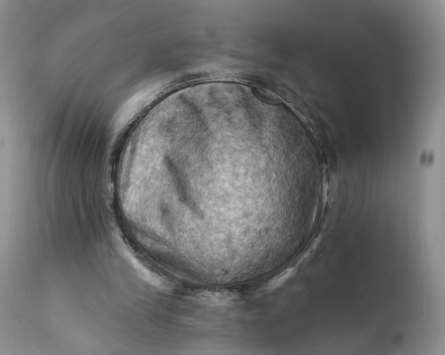 X0000111360245200907241229