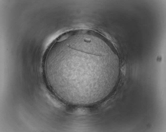 X0000111360248200907241229