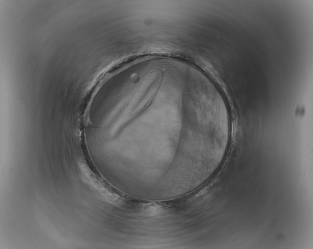 X0000111360249200907241229