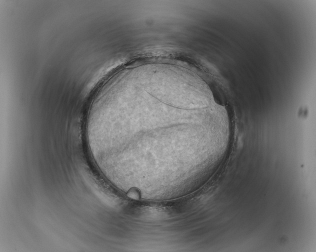 X0000111360250200907241229