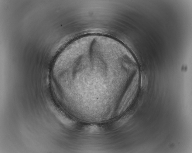 X0000111360253200907241229