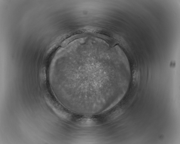 X0000111360254200907241229