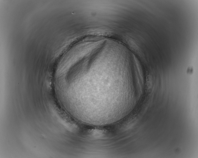 X0000111360255200907241229