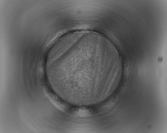 X0000111360256200907241229