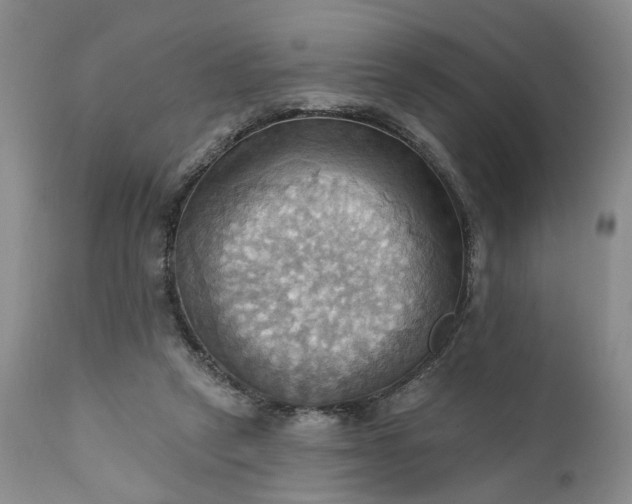X0000111360257200907241229