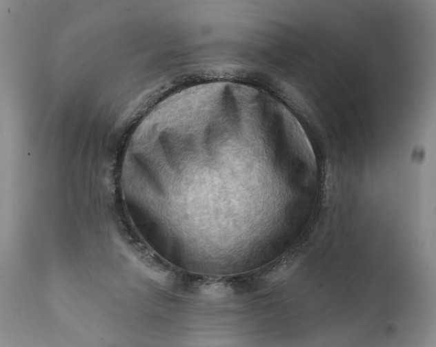 X0000111360258200907241229