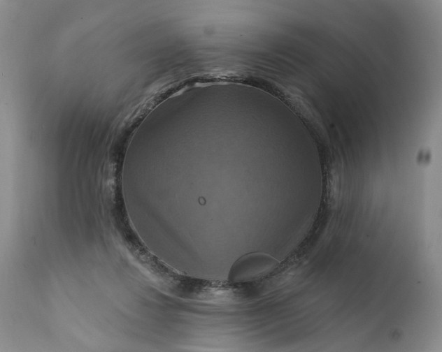 X0000111360260200907241229