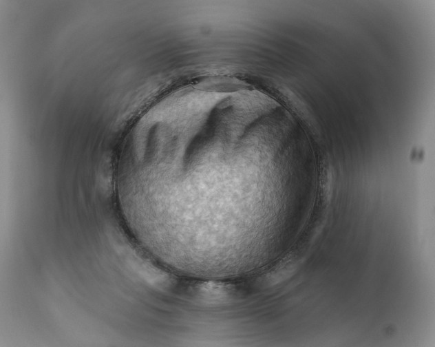 X0000111360261200907241229